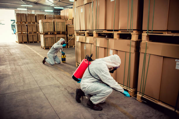 Best Bed Bug Extermination  in Katy, TX