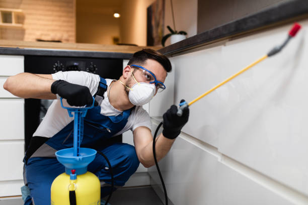 Best Commercial Pest Control Services  in Katy, TX