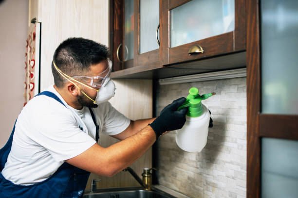 Best Affordable Pest Control Services  in Katy, TX
