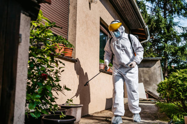 Best Wildlife Control Services  in Katy, TX
