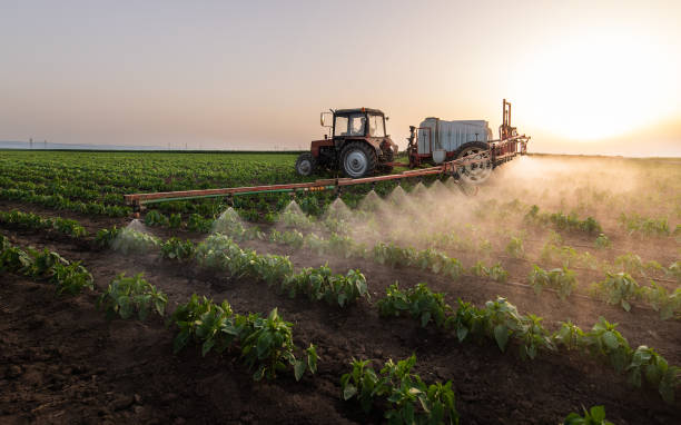 Best Commercial Pest Control Services  in Katy, TX