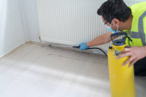 Best Pest Control Near Me  in Katy, TX