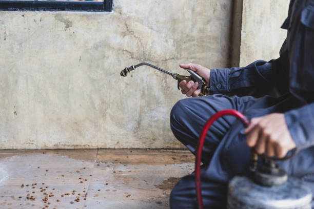 Trusted Katy, TX Pest Control Experts